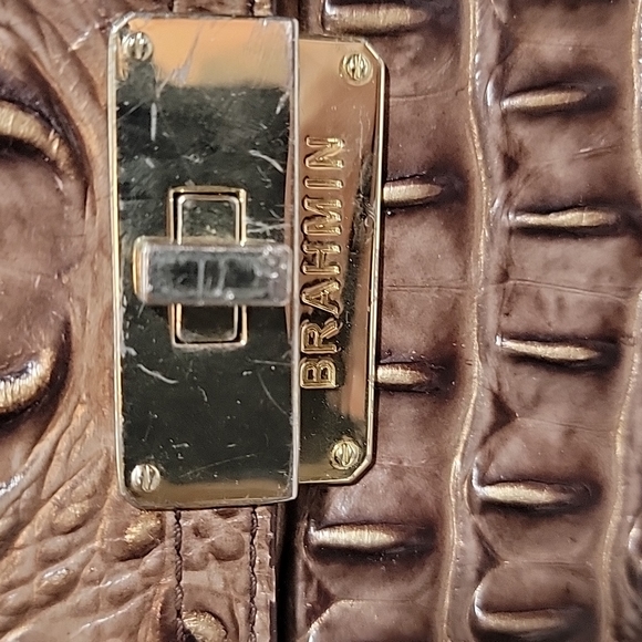 BRAHMIN - Picture 5 of 16